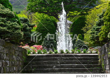 箱根　強羅公園の景色 139442953