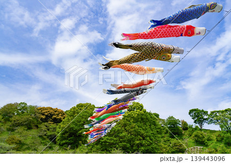 静岡県藤枝市 初夏の蓮華寺公園 静岡県藤枝市 初夏の蓮華寺公園 139443096