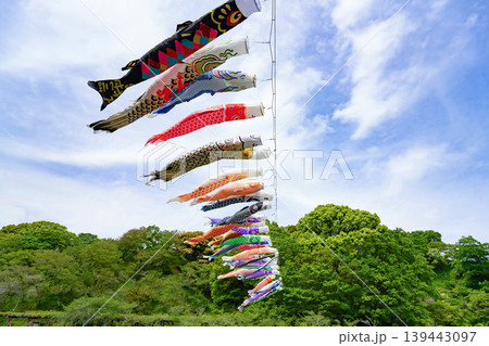 静岡県藤枝市　初夏の蓮華寺公園 139443097