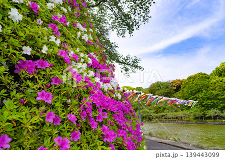 静岡県藤枝市 初夏の蓮華寺公園 静岡県藤枝市 初夏の蓮華寺公園 139443099
