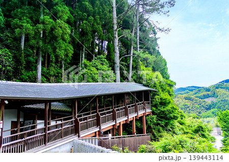 【福岡】初夏の南蔵院 釈迦涅槃像へ続く通路 【福岡】初夏の南蔵院 釈迦涅槃像へ続く通路 139443114