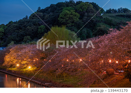 牧之原市の勝間田川沿いに咲く桜の風景(静岡県) 牧之原市の勝間田川沿いに咲く桜の風景(静岡県) 139443170