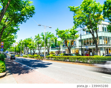 東京　新緑の表参道 139443280