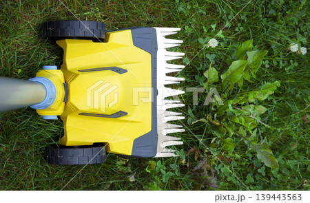 Yellow electric trimmer is cutting the green grass and wildflowers in garden 139443563