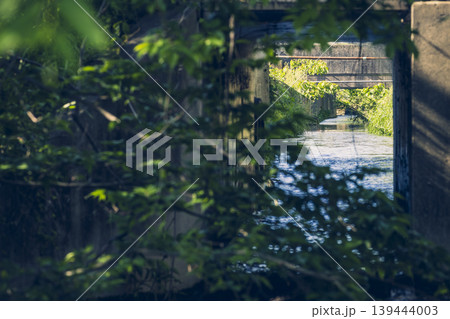 川沿いの風景 川沿いの風景 139444003