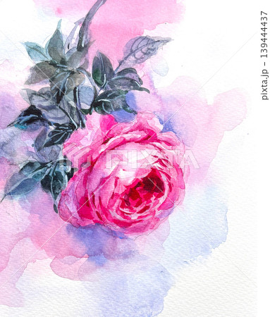 Collection of soft muted botanical and floral seamless patterns 139444437