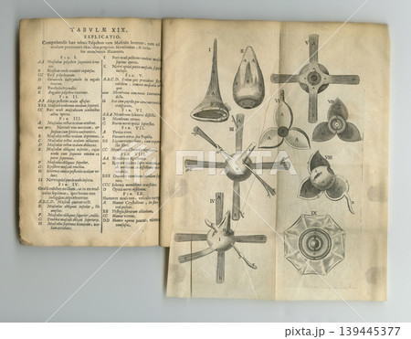 Old book, vintage and anatomy study of the eye, iris or pupil in latin literature, manuscript or ancient scripture against a studio background. Historical novel, journal or knowledge of research 139445377