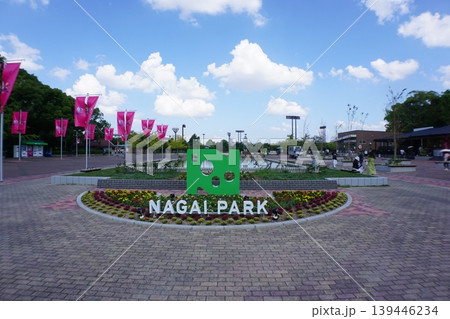 長居公園 大阪市立自然史博物館 長居植物園 長居公園 大阪市立自然史博物館 長居植物園 139446234