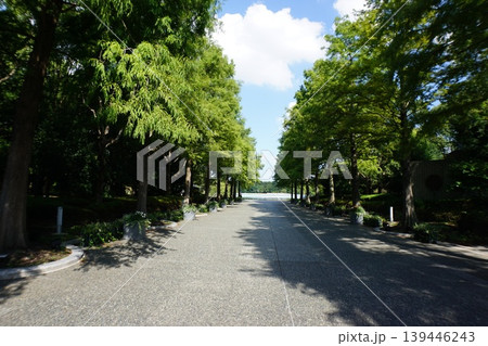 長居公園 大阪市立自然史博物館 長居植物園 長居公園 大阪市立自然史博物館 長居植物園 139446243