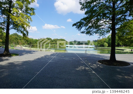 長居公園 大阪市立自然史博物館 長居植物園 長居公園 大阪市立自然史博物館 長居植物園 139446245