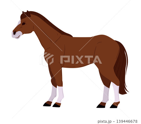 Brown horse standing side view. Domestic farm animal flat vector illustration. Equestrian element isolated on white background Brown horse standing side view. Domestic farm animal flat vector illustration. Equestrian element isolated on white background 139446678