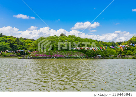静岡県藤枝市 初夏の蓮華寺公園 静岡県藤枝市 初夏の蓮華寺公園 139446945