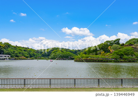 静岡県藤枝市 初夏の蓮華寺公園 静岡県藤枝市 初夏の蓮華寺公園 139446949