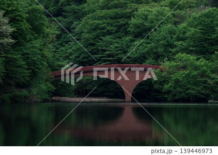碓氷湖の橋 碓氷湖の橋 139446973