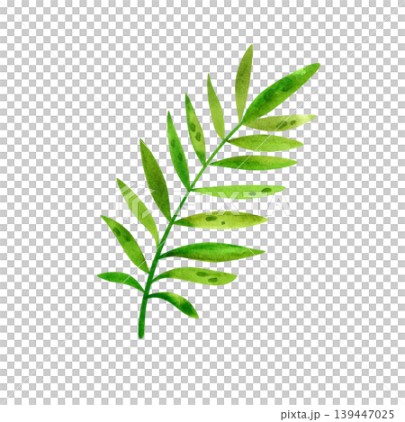 Tropical leaves and landscape elements, isolated watercolor illustration. Exotic green plants hand drawn for postcards and packaging. 139447025