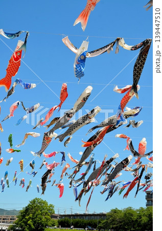 こいのぼりフェスタ1000 こいのぼりフェスタ1000 139447510