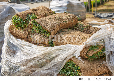 Stack of grass sod rolls wrapped in plastic film for park landscaping. Natural lawn turf prepared for installation. Professional garden renovation and soil improvement project. 139447598