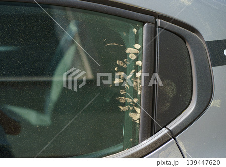 Close-up of car window covered with pollen dust, visible allergy trigger in spring season, environmental pollution and respiratory health concept. Close-up of car window covered with pollen dust, visible allergy trigger in spring season, environmental pollution and respiratory health concept. 139447620