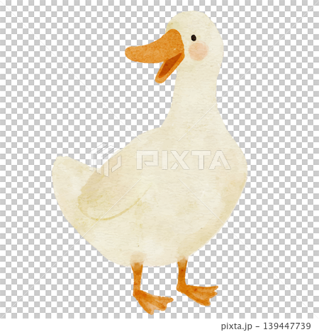 水彩の可愛いアヒルのイラスト 139447739