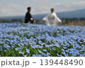 ネモフィラ畑の新郎新婦 139448490