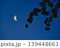 月と夜桜 139448661