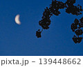 月と夜桜 139448662