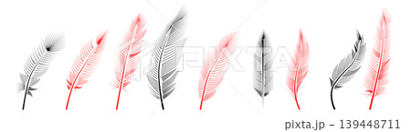 Collection of feather illustration, drawing, engraving, ink line art 139448711