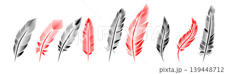 Collection of feather illustration, drawing, engraving, ink line art Collection of feather illustration, drawing, engraving, ink line art 139448712