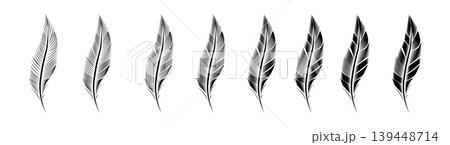 Collection of feather illustration, drawing, engraving, ink line art Collection of feather illustration, drawing, engraving, ink line art 139448714