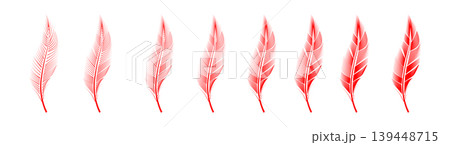 Collection of feather illustration, drawing, engraving, ink line art 139448715