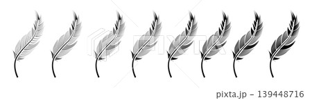Collection of feather illustration, drawing, engraving, ink line art Collection of feather illustration, drawing, engraving, ink line art 139448716