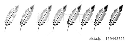 Collection of feather illustration, drawing, engraving, ink line art 139448723