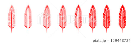 Collection of feather illustration, drawing, engraving, ink line art Collection of feather illustration, drawing, engraving, ink line art 139448724