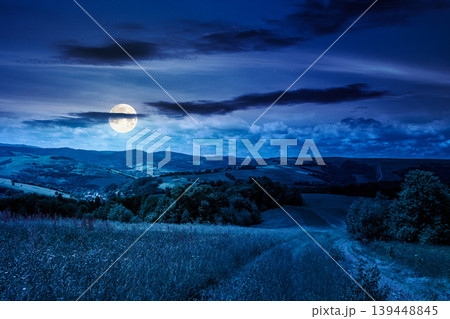 beautiful countryside of ukraine at night. mysterious view of summertime landscape in mountains. full moon over trail through the grassy field near forested rolling hills. fantasy rural scenery 139448845