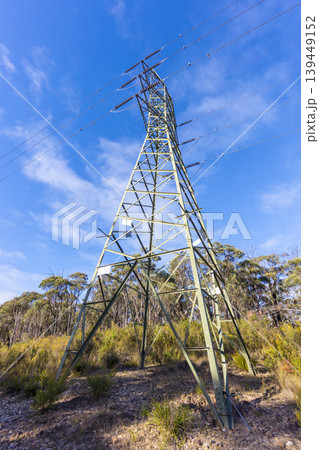 An electrical transmission tower located in a large forest 139449152