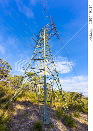 An electrical transmission tower located in a large forest 139449154