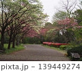 ふかや緑の王国（埼玉県深谷市櫛引24-2） 139449274
