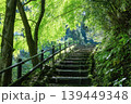 熊野磨崖仏への参道 139449348