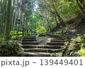 熊野磨崖仏への参道 139449401