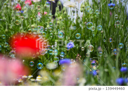 お花畑に舞うシャボン玉 お花畑に舞うシャボン玉 139449460