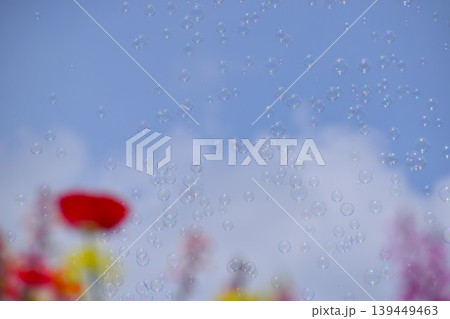 お花畑に舞うシャボン玉 お花畑に舞うシャボン玉 139449463