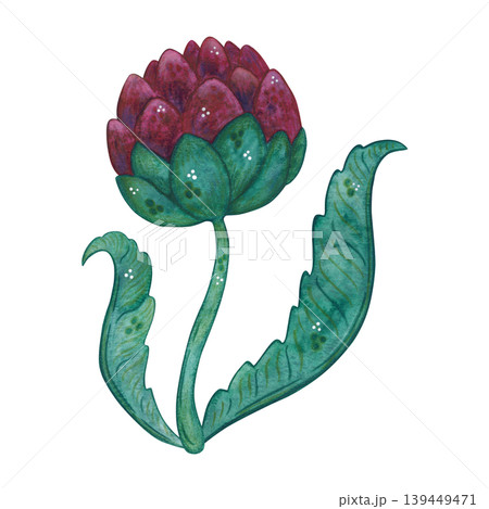 Burgundy artichoke flower with leaves. Hand-drawn watercolor illustration, cartoon. Plant, nature, card, invitation, vintage, green, burgundy, elegant Burgundy artichoke flower with leaves. Hand-drawn watercolor illustration, cartoon. Plant, nature, card, invitation, vintage, green, burgundy, elegant 139449471