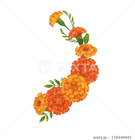 A round arrangement of marigold flowers and leaves. Hand-drawn watercolor illustration, cartoon. Suitable for invitations, posters, cards, or prints. Summer, plants, flowers A round arrangement of marigold flowers and leaves. Hand-drawn watercolor illustration, cartoon. Suitable for invitations, posters, cards, or prints. Summer, plants, flowers 139449481