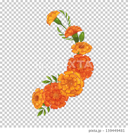 A round arrangement of marigold flowers and leaves. Hand-drawn watercolor illustration, cartoon. Suitable for invitations, posters, cards, or prints. Summer, plants, flowers A round arrangement of marigold flowers and leaves. Hand-drawn watercolor illustration, cartoon. Suitable for invitations, posters, cards, or prints. Summer, plants, flowers 139449481