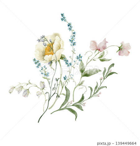Hand painted watercolor bouquet with white peony pink sweet pea and blue forget-me-not isolated on white. Floral Illustration for design, print, fabric, background. 139449664
