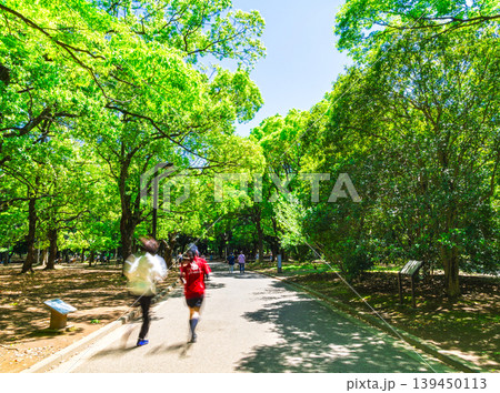 東京　新緑の代々木公園 139450113