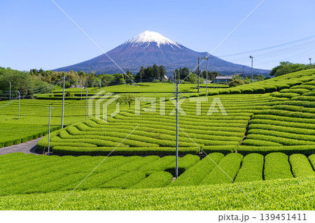 静岡県富士市　天間の茶畑 139451411