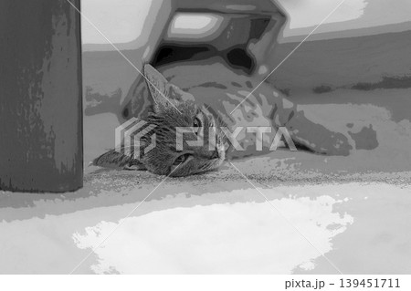 スケッチ風 猫 ネコ ねこ キジトラ グレー 雌 メス 雌ねこ 雌ネコ 元気 かわいい 癒し スケッチ風 猫 ネコ ねこ キジトラ グレー 雌 メス 雌ねこ 雌ネコ 元気 かわいい 癒し 139451711