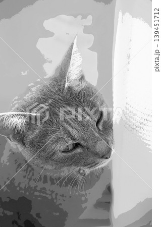スケッチ風 猫 ネコ ねこ キジトラ グレー 雌 メス 雌ねこ 雌ネコ 元気 かわいい 癒し 139451712