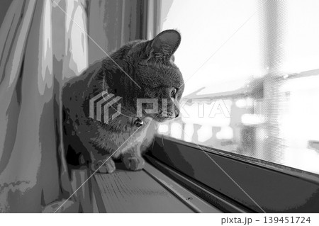 スケッチ風 猫 ネコ ねこ キジトラ グレー 雌 メス 雌ねこ 雌ネコ 元気 かわいい 癒し 139451724